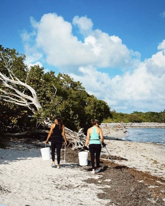 Volunteers carrying buckets along a mangrove shoreline